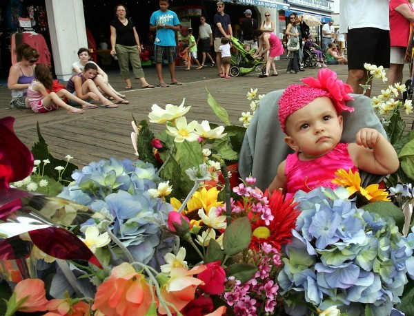 Baby Parade